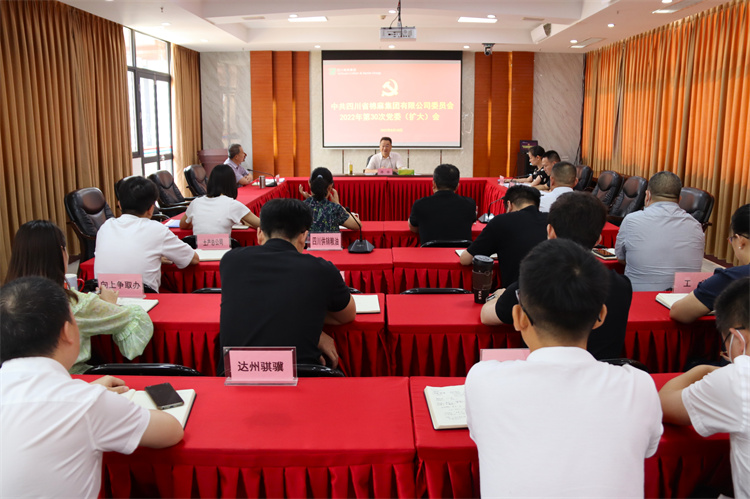 集團(tuán)公司召開2022年第30次黨委（擴大）會議
